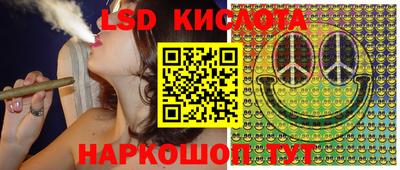 шишки Краснознаменск