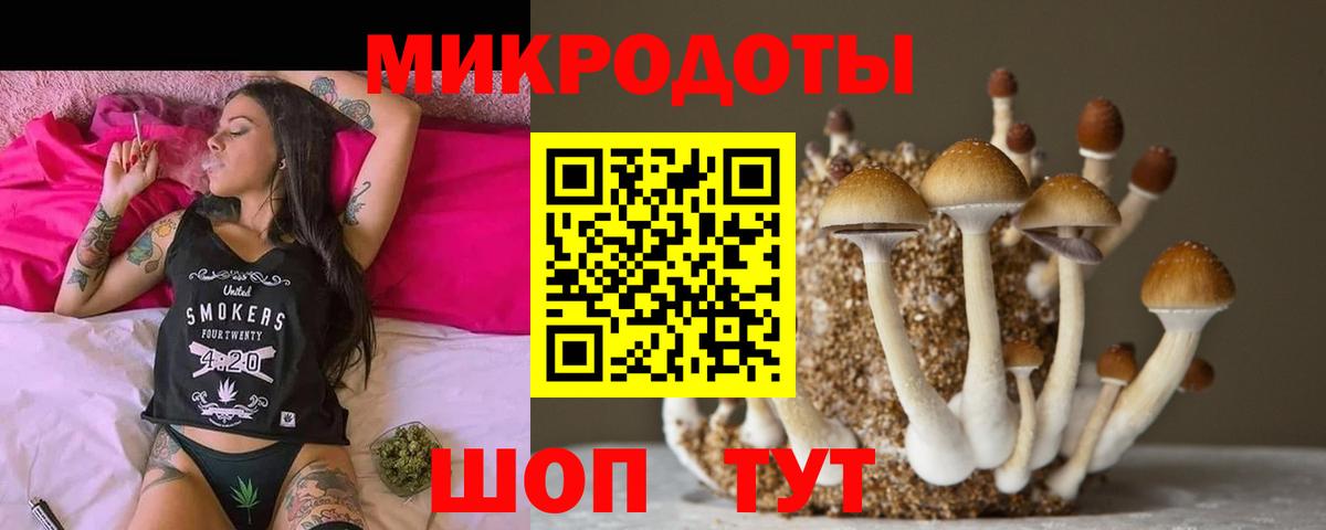 Псилоцибиновые грибы GOLDEN TEACHER  Вход с VPN  Галлюциногенные грибы Cubensis  Черняховск 